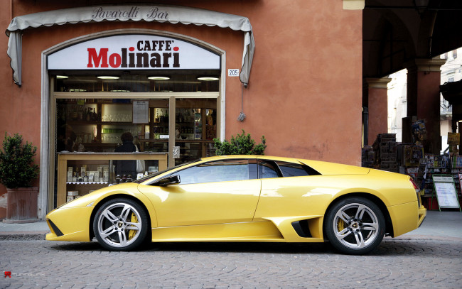 Обои картинки фото lamborgini, автомобили, lamborghini