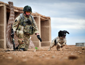 Картинка оружие армия спецназ военные