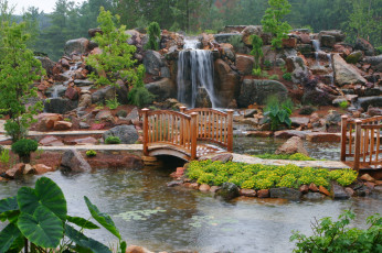 Картинка природа парк цветы пруд кувшинки мостик тротуар водопад деревья камни дождь