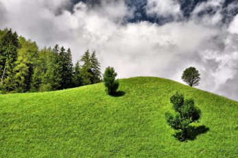 Картинка природа деревья италия