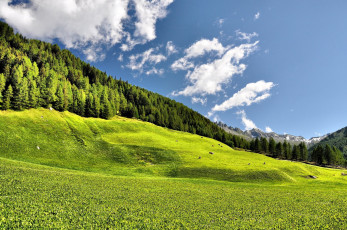 Картинка природа луга италия