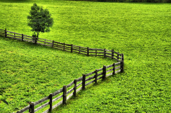 Картинка природа луга изгородь
