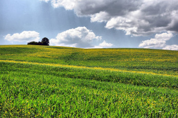 Картинка природа луга toscana