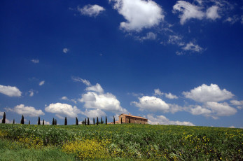 Картинка природа поля toscana