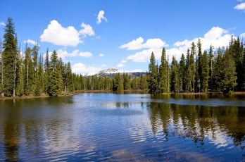 Картинка природа реки озера половодье вода лес деревья весна небо