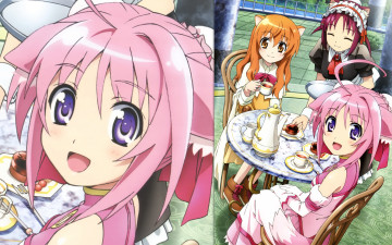 Картинка аниме dog days