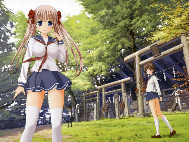 Обои картинки фото аниме, saki