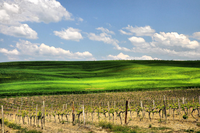Обои картинки фото природа, поля, toscana