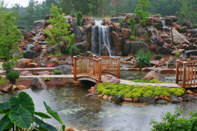 Обои картинки фото природа, парк, цветы, пруд, кувшинки, мостик, тротуар, водопад, деревья, камни, дождь