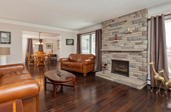 Картинка интерьер гостиная жирафы стол кресла камин