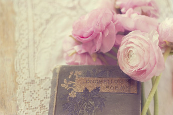 Картинка цветы ранункулюс+ азиатский+лютик винтаж