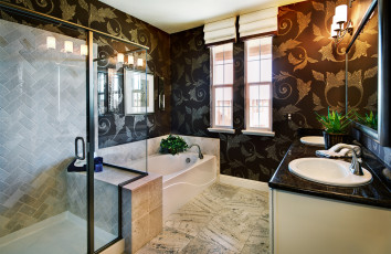 Картинка интерьер ванная+и+туалетная+комнаты душ ванна