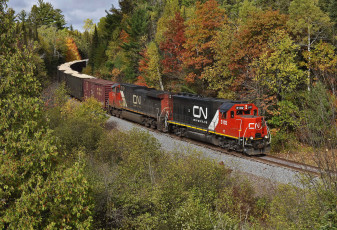 Картинка техника поезда дорога железная состав локомотив рельсы