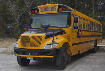 Картинка автомобили автобусы автобус школьный