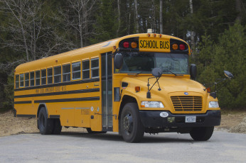 Картинка автомобили автобусы автобус школьный