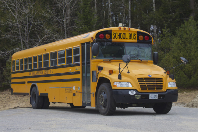 Обои картинки фото автомобили, автобусы, автобус, школьный