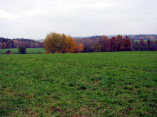 Картинка природа луга трава