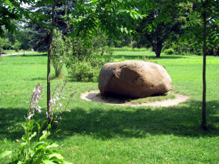 Картинка природа парк деревья камень