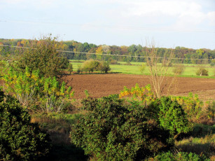 Картинка природа поля распаханное