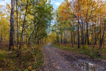 Картинка природа дороги тракт