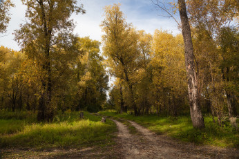 Картинка природа дороги тракт