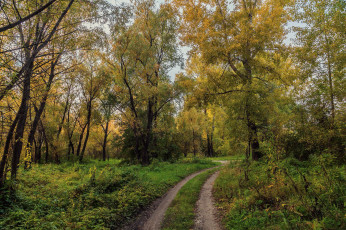 Картинка природа дороги тракт