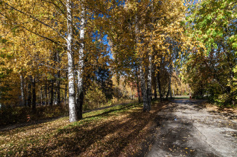 Картинка природа дороги тракт