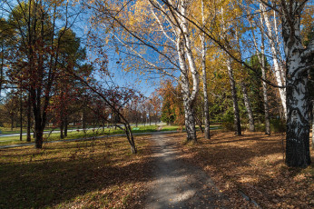 Картинка природа дороги тракт