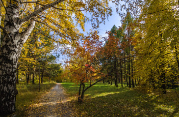 Картинка природа дороги тракт