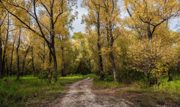 Картинка природа дороги тракт