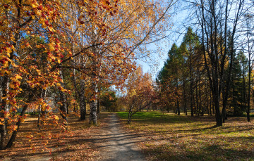 Картинка природа дороги тракт