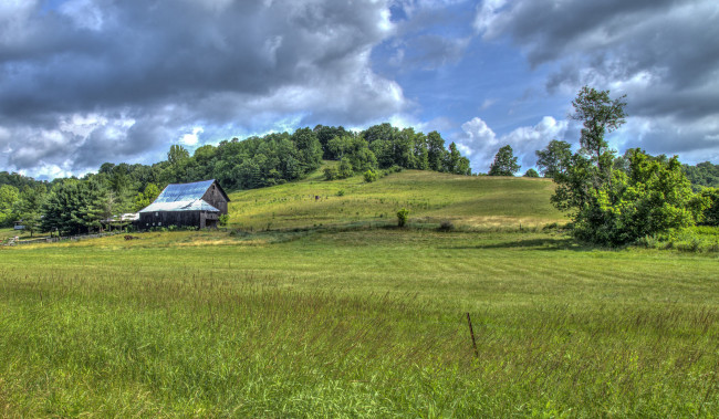 Обои картинки фото природа, пейзажи, лес, холм