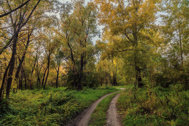 Обои картинки фото природа, дороги, тракт