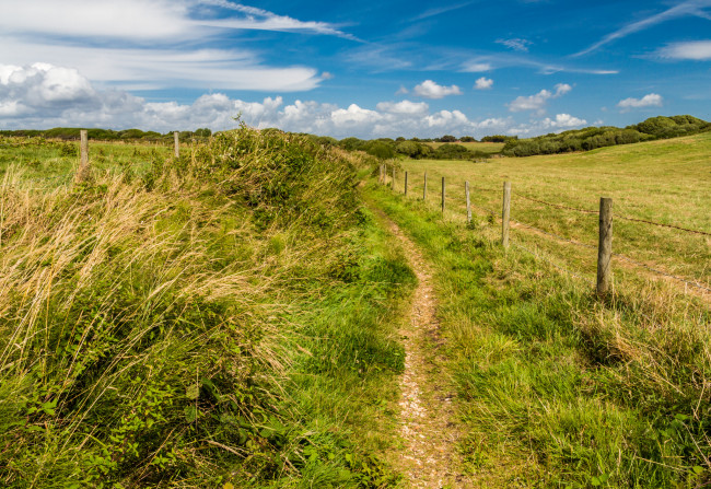 Обои картинки фото природа, дороги, тракт