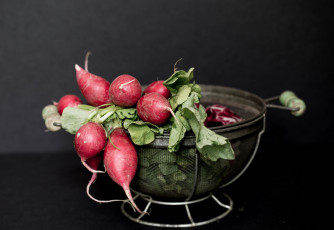 Картинка еда редис +репа +редька редиска