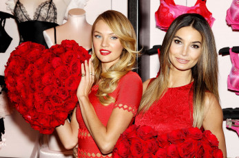 Картинка девушки candice+swanepoel модели розы цветы белье