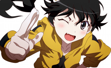 Картинка аниме bakemonogatari персонаж