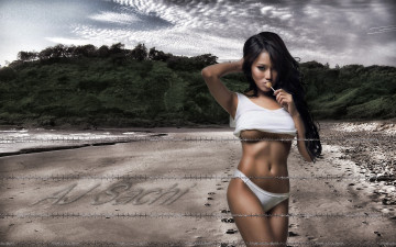 Картинка aj+sachi девушки -unsort+ брюнетки +шатенки девушка фон взгляд пляж проволока