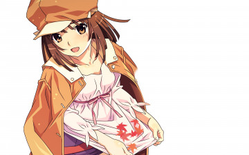 Картинка аниме bakemonogatari взгляд девушка фон