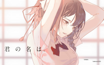 Картинка аниме kimi+no+na+wa девушка