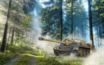 Картинка техника 3d сау утро в еловом лесу