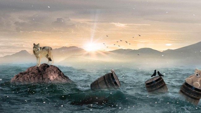 Обои картинки фото разное, компьютерный дизайн, art, закат, море, волк, скалы