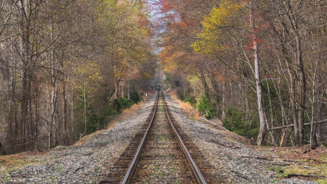Обои картинки фото разное, транспортные средства и магистрали, пейзаж, осень, железная, дорога, лес, деревья