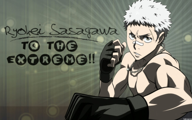 Обои картинки фото аниме, katekyo hitman reborn, рёхей