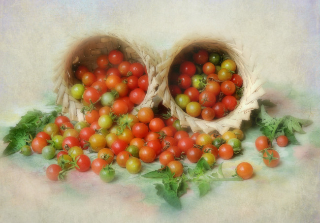Обои картинки фото еда, помидоры, томаты