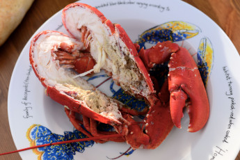 Картинка еда рыбные+блюда +с+морепродуктами лобстер