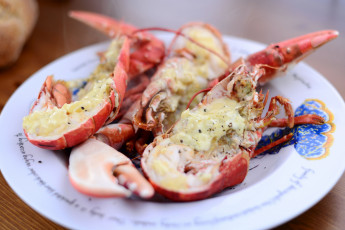Картинка еда рыбные+блюда +с+морепродуктами лобстер