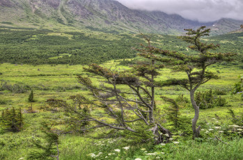 Картинка природа пейзажи простор