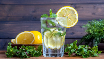 Картинка еда напитки напиток укроп мята лимон