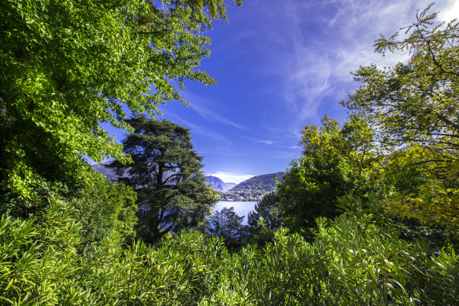 Обои картинки фото природа, лес, простор